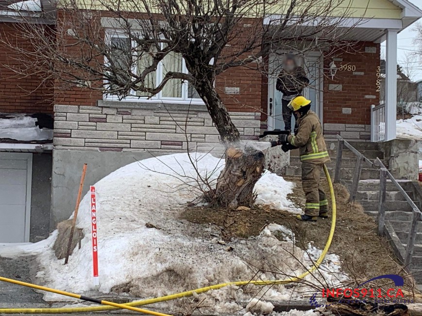 Un arbre prend feu dans le secteur Black Lake
